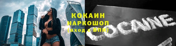 шишки Алексин