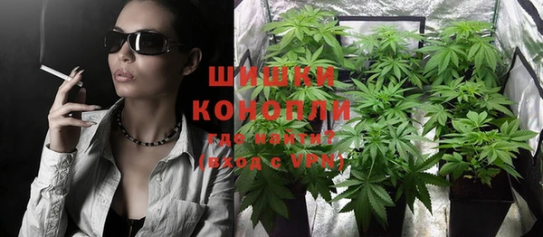 шишки Алексин