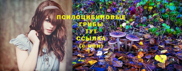 шишки Алексин
